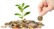 start-up-business-financiar-564x300.webp start-up-business-financiar-564x300.webp