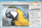 duotono_tutorial_paso3.webp
