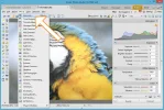 duotono_tutorial_paso4.webp