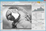 duotono_tutorial_paso5.webp