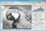 duotono_tutorial_paso6.webp