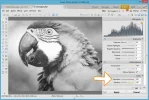 duotono_tutorial_paso7.webp
