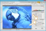 duotono_tutorial_paso8.webp