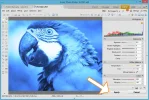 duotono_tutorial_paso9.webp