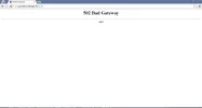 hosginger.webp