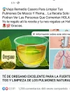 a530f25a-353c-4ba3-b5c7-29ef3bdd6a4a.jpg a530f25a-353c-4ba3-b5c7-29ef3bdd6a4a.jpg