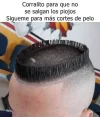 84683477_1329839250536690_1474724282901725184_n.webp