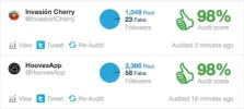 twitteraudit.webp