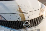 carro.webp carro.webp