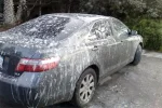carro-c.webp carro-c.webp