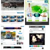 p1.webp