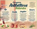 ANTIVIOTICOS NATURALES.webp