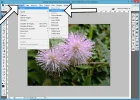 paso-4_dutono_Adobe-Photoshop.webp paso-4_dutono_Adobe-Photoshop.webp