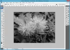 paso-4b_dutono_Adobe-Photoshop.webp paso-4b_dutono_Adobe-Photoshop.webp