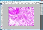 paso-9_dutono_Adobe-Photoshop.webp paso-9_dutono_Adobe-Photoshop.webp