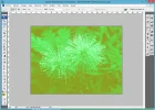 paso-10c_dutono_Adobe-Photoshop.webp paso-10c_dutono_Adobe-Photoshop.webp