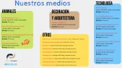 medios.webp