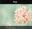 tuta.webp