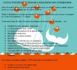 cuenta twitter.webp