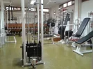 gim.webp gim.webp