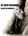 bayqLKw.webp