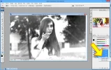 PASO006.webp
