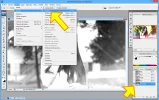 PASO007.webp