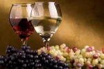 el vino.webp