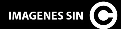 Sin-título-12.webp