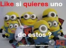 156411_753141491377657_619503984_n.webp