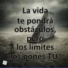 1507763_625316977517289_1523124899_n.webp