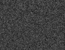 5.webp
