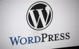 pic6.webp