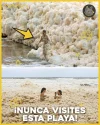 Viral 3.webp