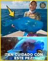 Viral 4.webp