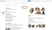 ww.webp