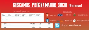 Buscar-Programador..webp
