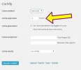 cachify_tutorial_paso10.webp