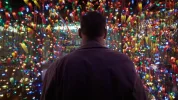 Birdman11.webp