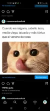 Screenshot_20201119-225138_Instagram.webp