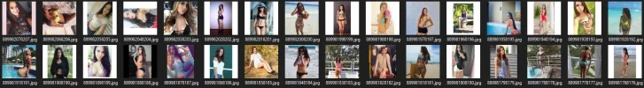 1606165630590.webp