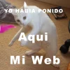 yo habia ponido aqui mi web .webp