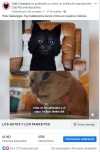 Captura cat.webp