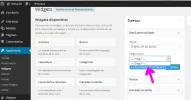 controlar_categorías_Wordpress_SEC13.webp