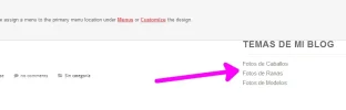 controlar_categorías_Wordpress_FIN.webp