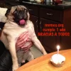 cumplememeo.webp