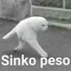 descarga (2).webp