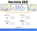 Post SEO RRSS.webp