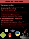 Servicio de programacion.webp
