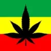 marijuana-leaf-28065104.webp marijuana-leaf-28065104.webp